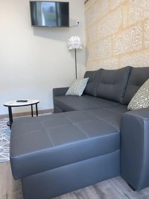 ニオールLe Cocon T2 Duplex 24 M2アパートメント エクステリア 写真